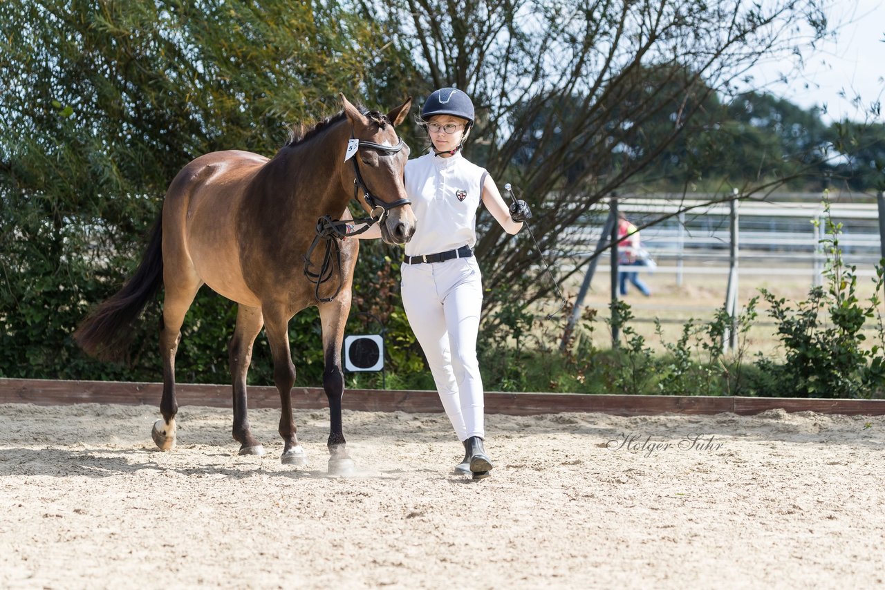 Bild 87 - Pony Akademie Turnier